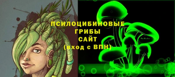 apvp Абаза